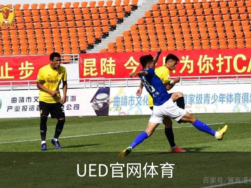 UED官网体育简介